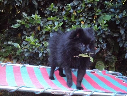 Justy Des Souffles Sacres