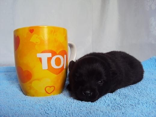 Justy Des Souffles Sacres