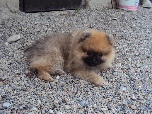 Hermes Des Souffles Sacres