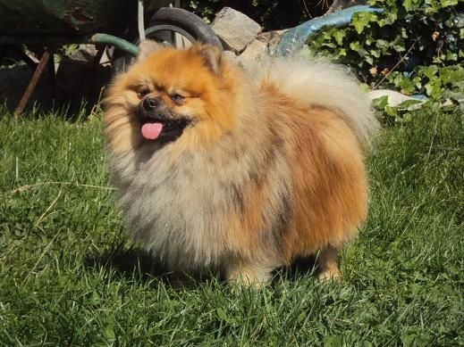 Hermes Des Souffles Sacres