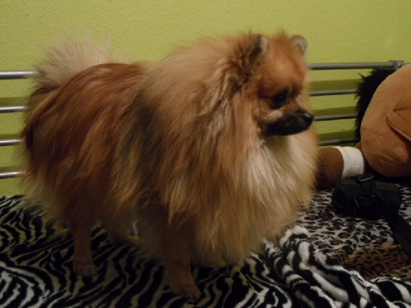 Hermes Des Souffles Sacres