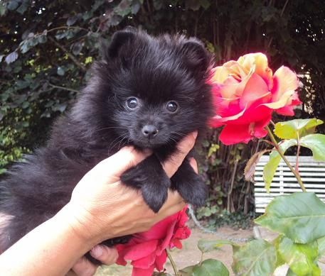 Justy Des Souffles Sacres