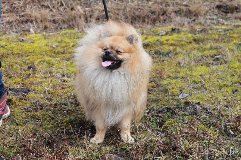 Hermes Des Souffles Sacres