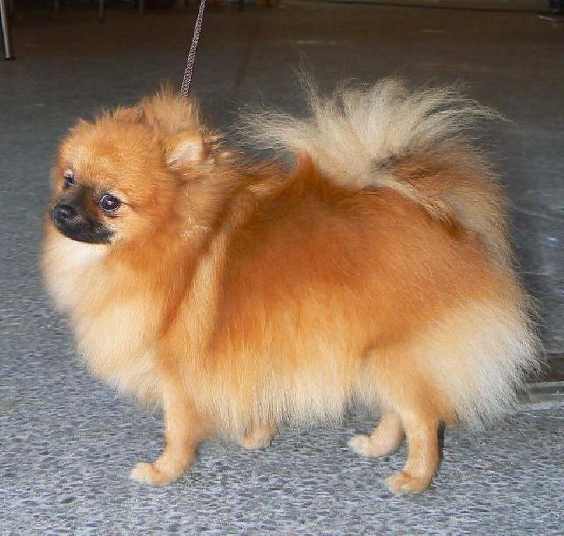 Hope Des Souffles Sacres - 1er excellent classe jeune