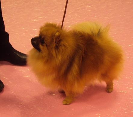 Hope Des Souffles Sacres - 2 eme excellent classe jeune