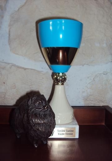 CH. syva's pride Hurrican hike - 1 er excellent meilleur jeune