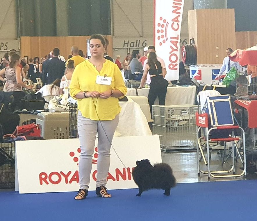 Justy Des Souffles Sacres - R.CACS - R.CACIB