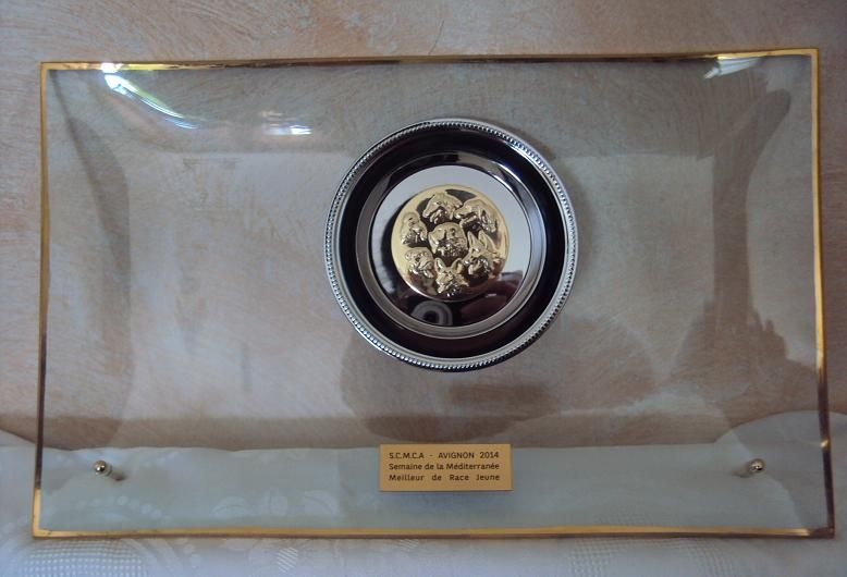 CH. syva's pride Hurrican hike - 1er excellent classe jeune +meilleur jeune