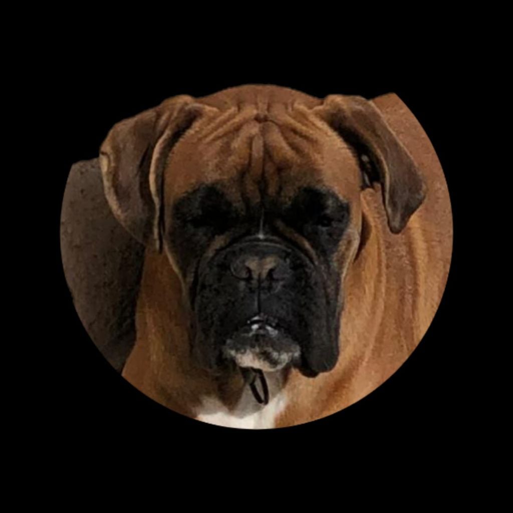 CH. Ugni Du Bois D'Esperanto