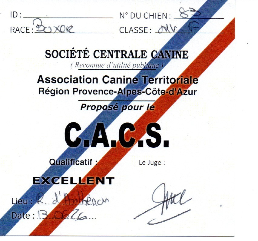 CH. Ugni Du Bois D'Esperanto - 1 er EXCELLENT. CACS