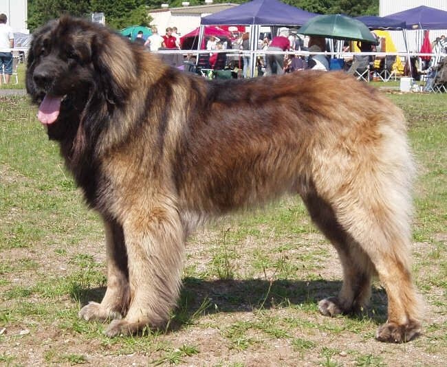 Publication : de La Boissière