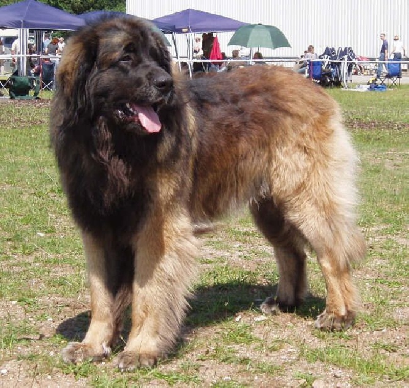 Publication : de La Boissière