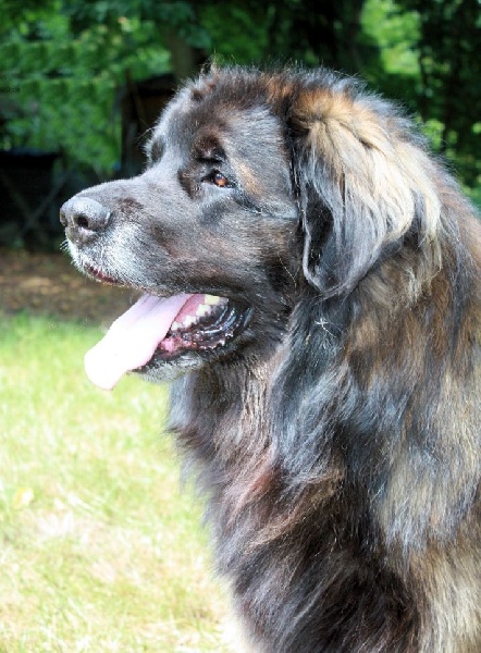 Publication : de La Boissière