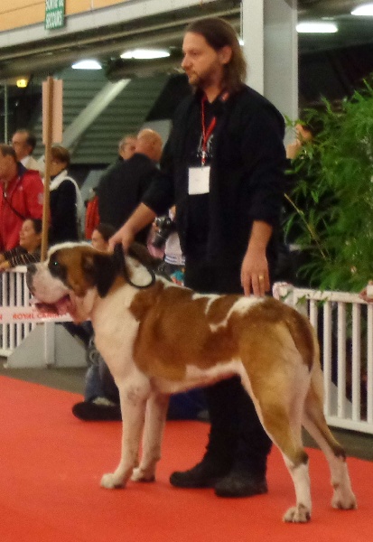 CH. Fun (dit faccia d'amore) De La Maison Des Tartarin - EXC 2, RCAC, RCACIB