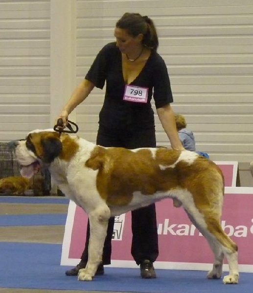 CH. Fun (dit faccia d'amore) De La Maison Des Tartarin - TB