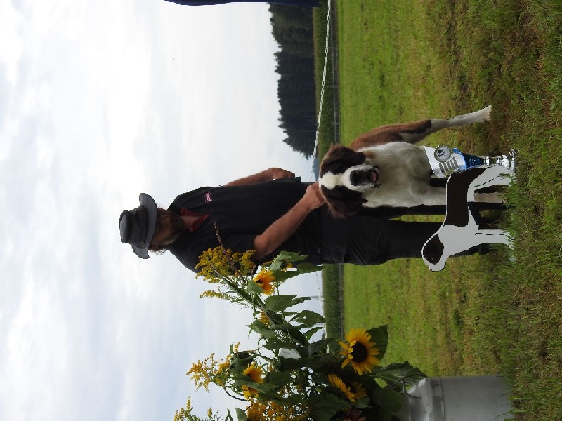 CH. Bricotine De L'orée Des Montagnes - TP, Meilleure Très Jeune Poil Long