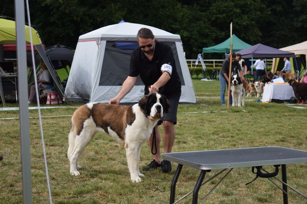 Gin tonic au moulin de tallans - EXC1, CACJ