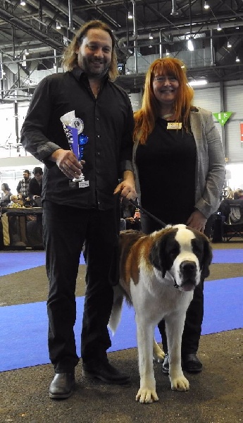 CH. Bricotine De L'orée Des Montagnes - EXC1 Jeune, CAC Jeune, Meilleure Jeune