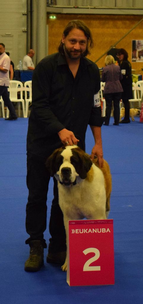 CH. Bricotine De L'orée Des Montagnes - EXC2