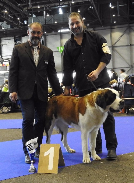 CH. Bricotine De L'orée Des Montagnes - EXC1 Jeune, CAC Jeune, Meilleur Jeune, BOB