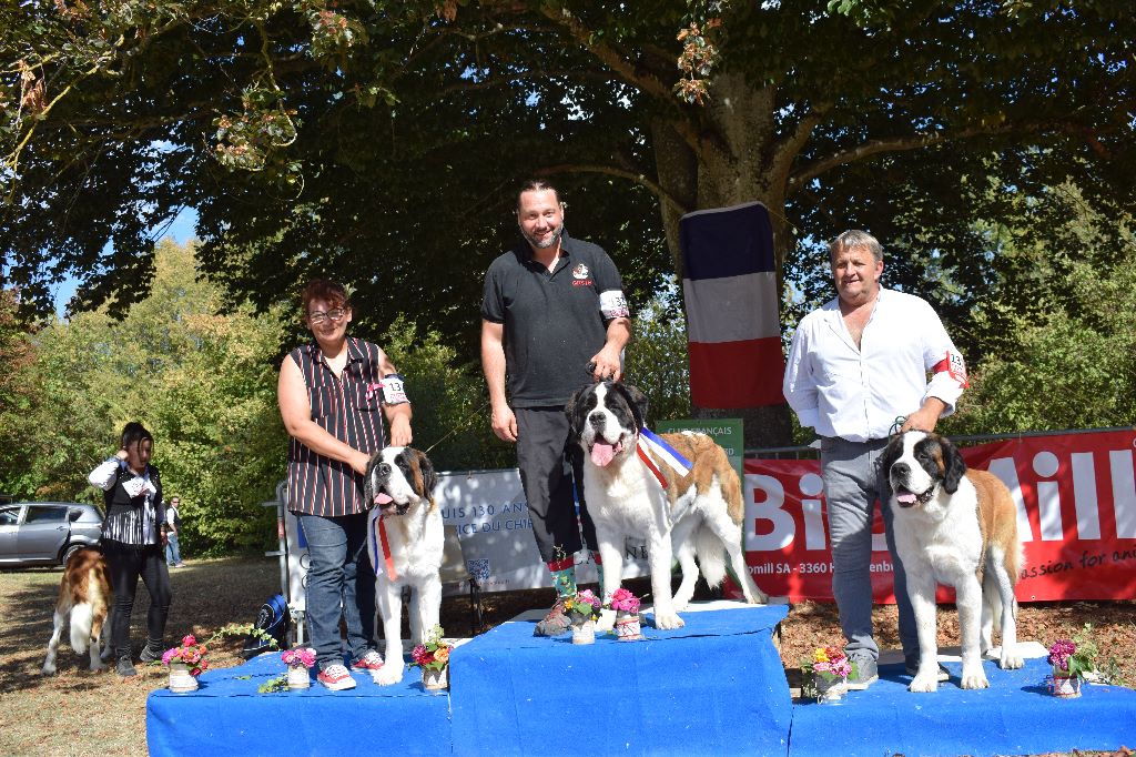 Gin tonic au moulin de tallans - EXC, CAC, BOS