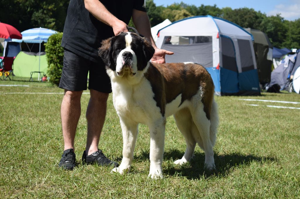 Gin tonic au moulin de tallans - EXC1, CACJ