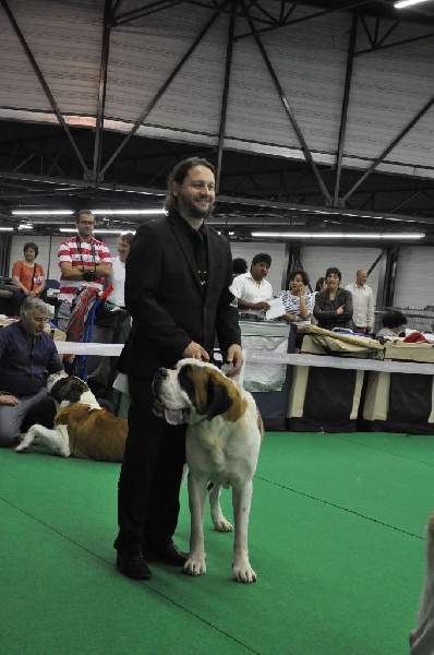 CH. Fun (dit faccia d'amore) De La Maison Des Tartarin - EXC1, CAC, CACIB, Best of Opposite Sex
