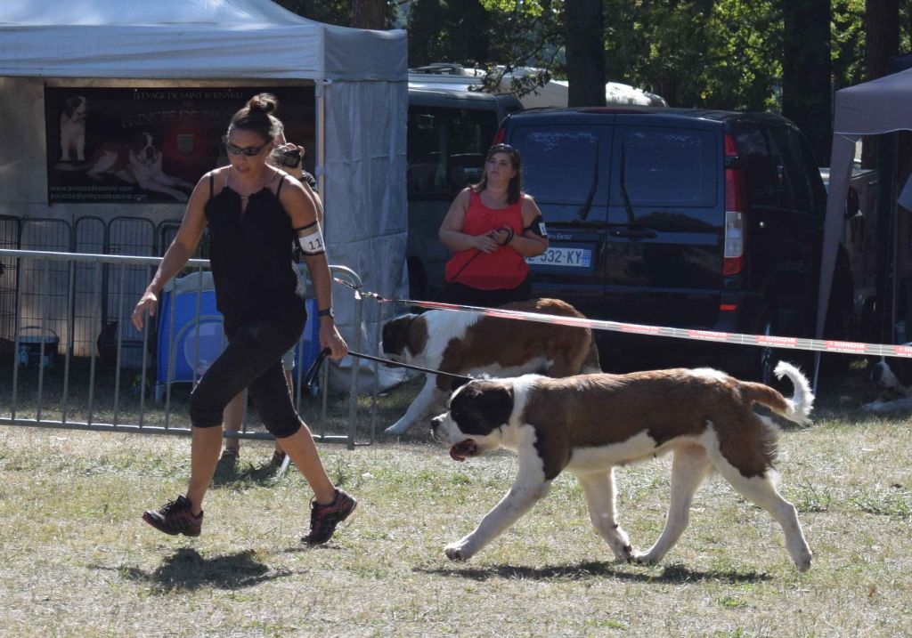 Gin tonic au moulin de tallans - EXC