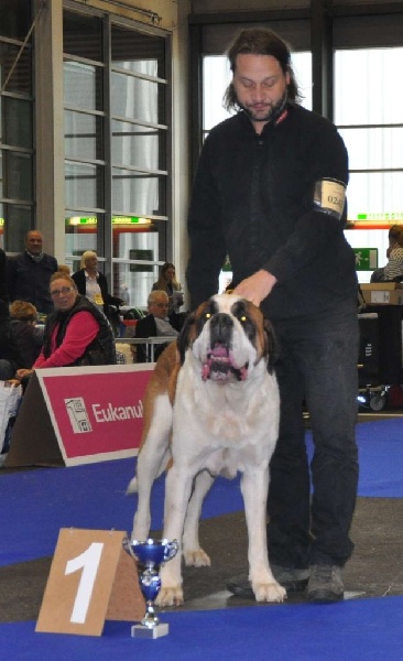 CH. Fun (dit faccia d'amore) De La Maison Des Tartarin - EXC 1, CAC, RCACIB, Champion Suisse !