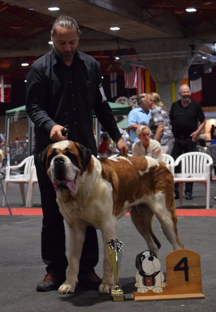 CH. Fun (dit faccia d'amore) De La Maison Des Tartarin - EXC4