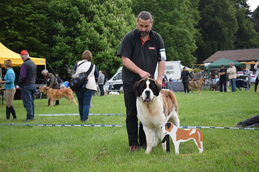 Gin tonic au moulin de tallans - EXC1, CACJ