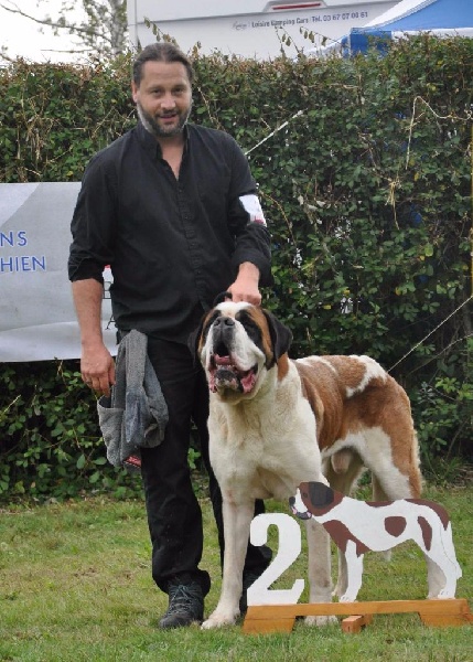 CH. Fun (dit faccia d'amore) De La Maison Des Tartarin - EXC+ 2 Classe Champion