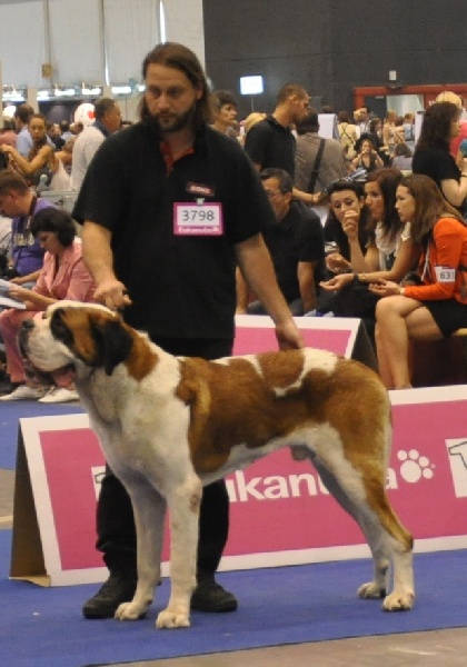 CH. Fun (dit faccia d'amore) De La Maison Des Tartarin - EXC 2, RCAC