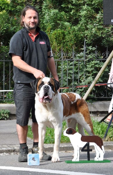 CH. Fun (dit faccia d'amore) De La Maison Des Tartarin - EXC 4