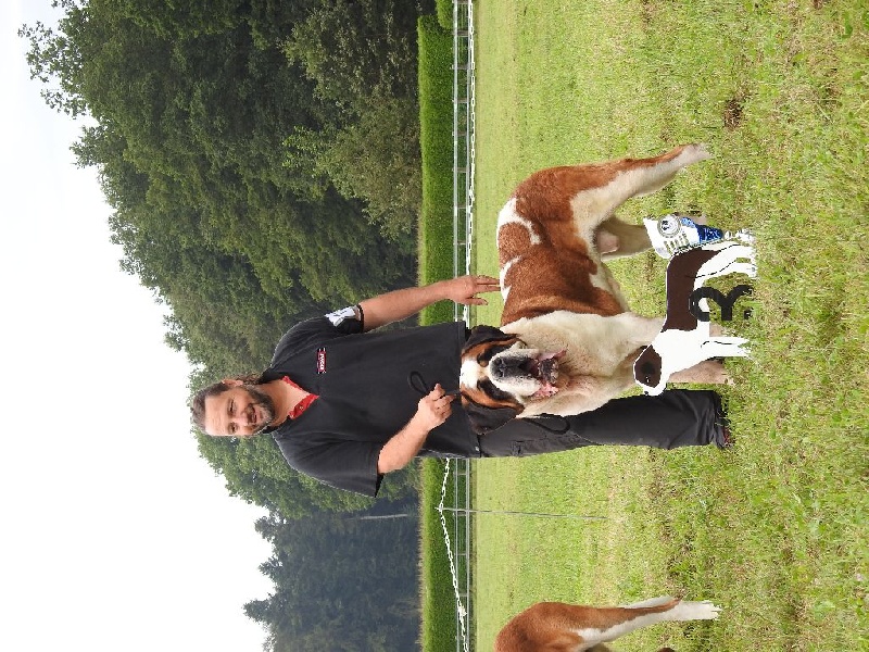 CH. Fun (dit faccia d'amore) De La Maison Des Tartarin - EXC3