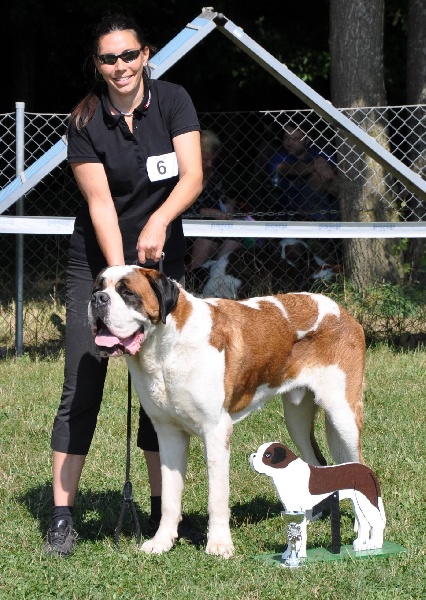 CH. Fun (dit faccia d'amore) De La Maison Des Tartarin - EXC 1, CAC