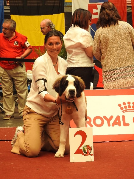 CH. Bricotine De L'orée Des Montagnes - TB 2 Classe Puppy