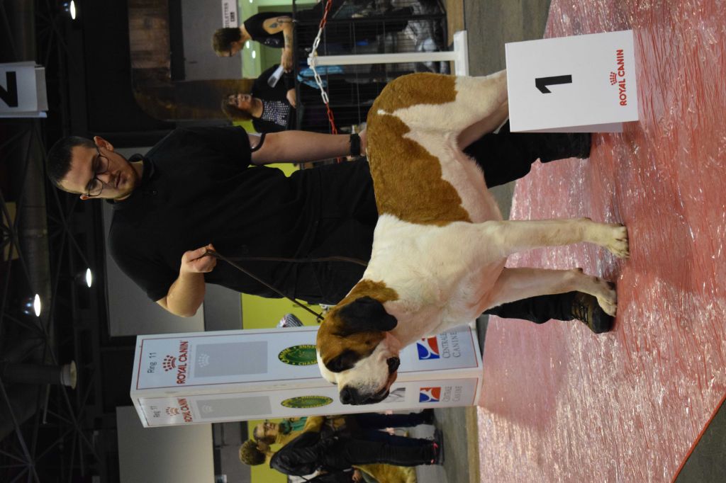 Naaia Des Plaines De L'Aulne - EXC1, RCAC