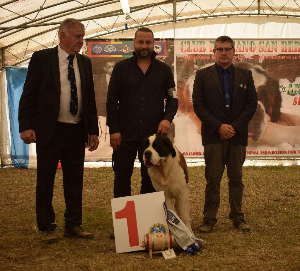 Gin tonic au moulin de tallans - EXC1 cl Inter