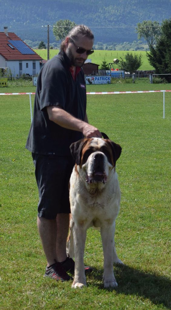 CH. Fun (dit faccia d'amore) De La Maison Des Tartarin - EXC