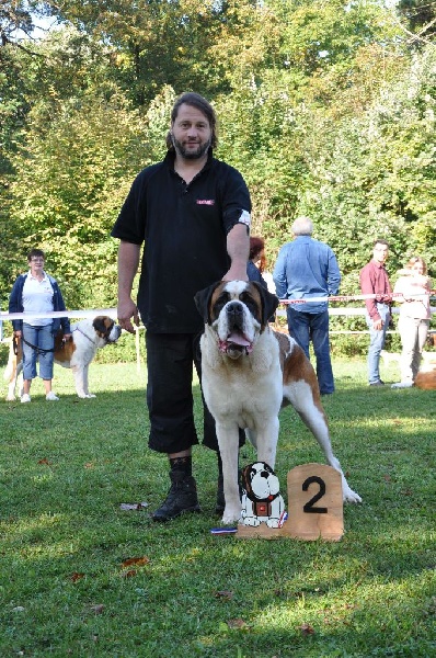 CH. Fun (dit faccia d'amore) De La Maison Des Tartarin - EXC +, RCAC