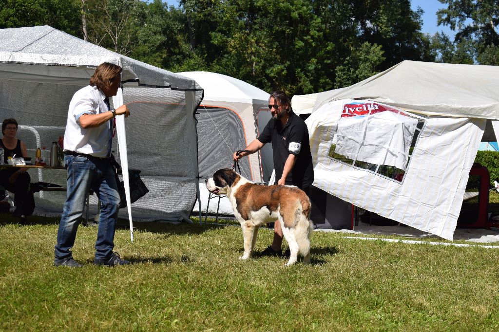 Gin tonic au moulin de tallans - EXC1, CACJ, BOB