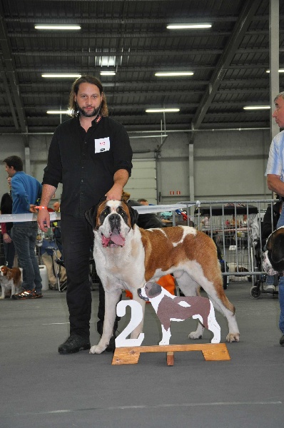 CH. Fun (dit faccia d'amore) De La Maison Des Tartarin - EXC2, RCAC