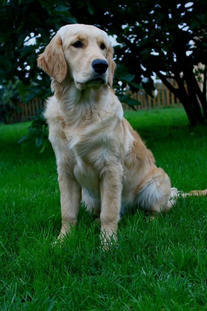 Are you ready to go seven Du Val Chantellois