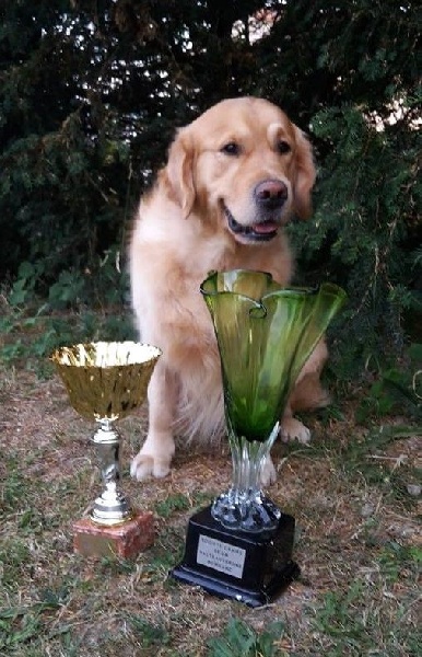 TR. Follow me stanley de l'Orfillec - 1 er Exc, CACS, BOB, 2ème du BOG