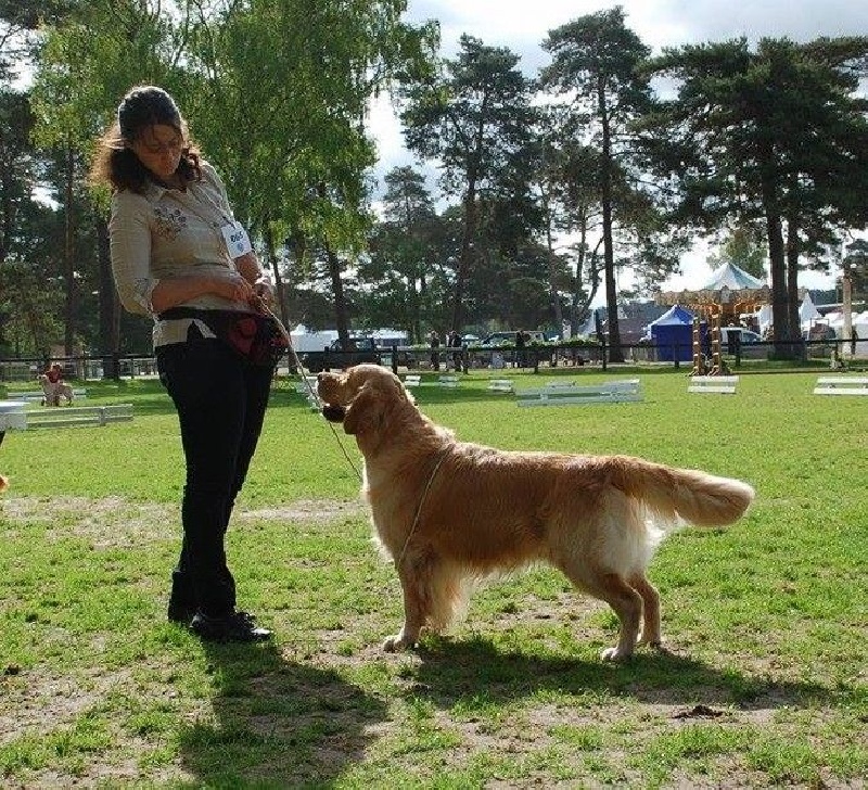 TR. Follow me stanley de l'Orfillec - 2eme Exc