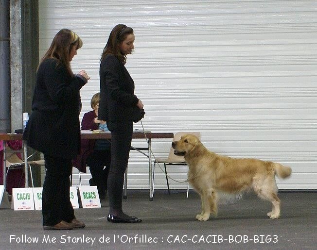 TR. Follow me stanley de l'Orfillec - 1er Exc, CACIB, CACS, BOB, BOG3, Trophée Jean Louis Pigal !