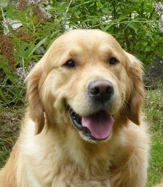 TR. Follow me stanley de l'Orfillec - 1er Exc, RCACIB CACS