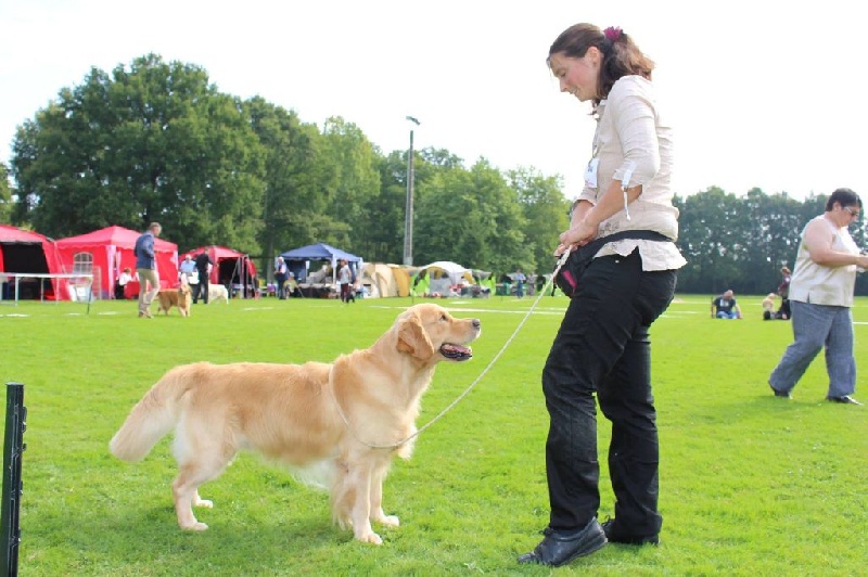 TR. Follow me stanley de l'Orfillec - 5ème Exc