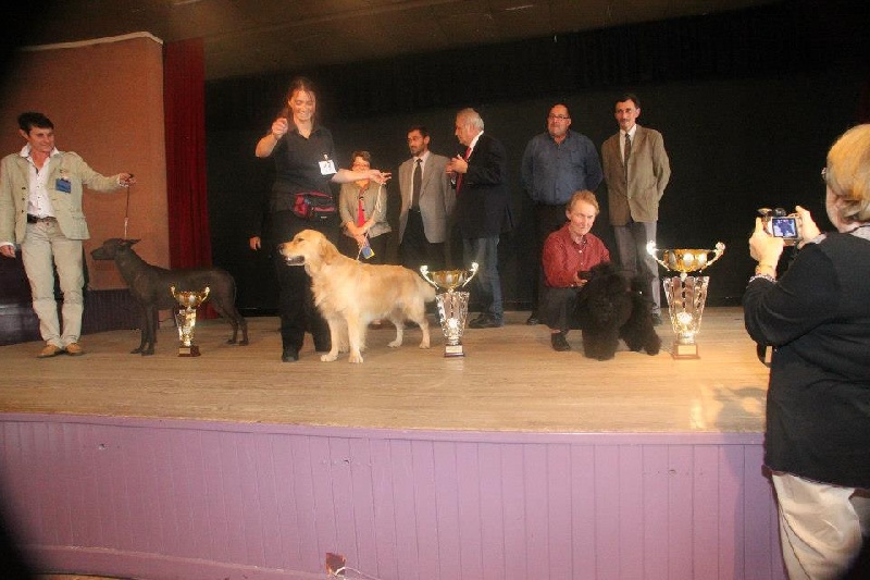 TR. Follow me stanley de l'Orfillec - 2ème !!!